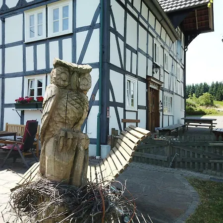 Ortmanns Eulennest-2